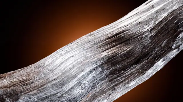 Amber Driftwood