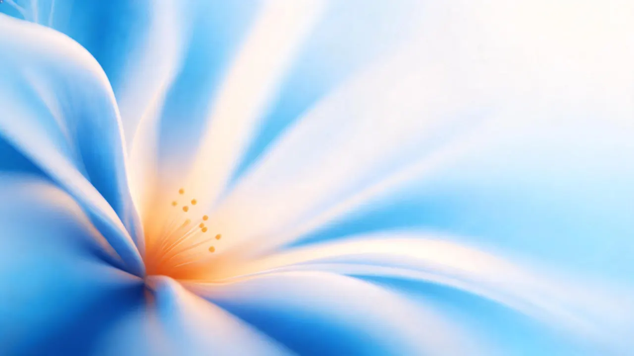 Bloom Rose, Gradients background