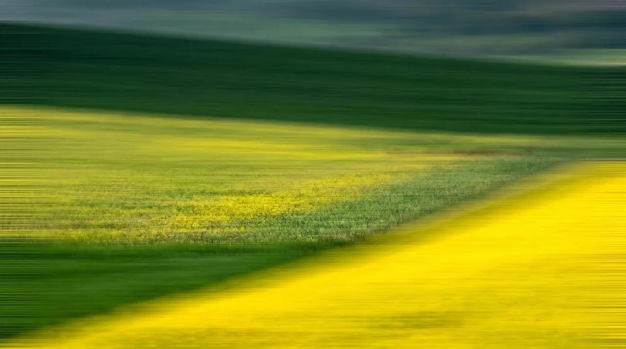 Blurred Fields used as a background for websites