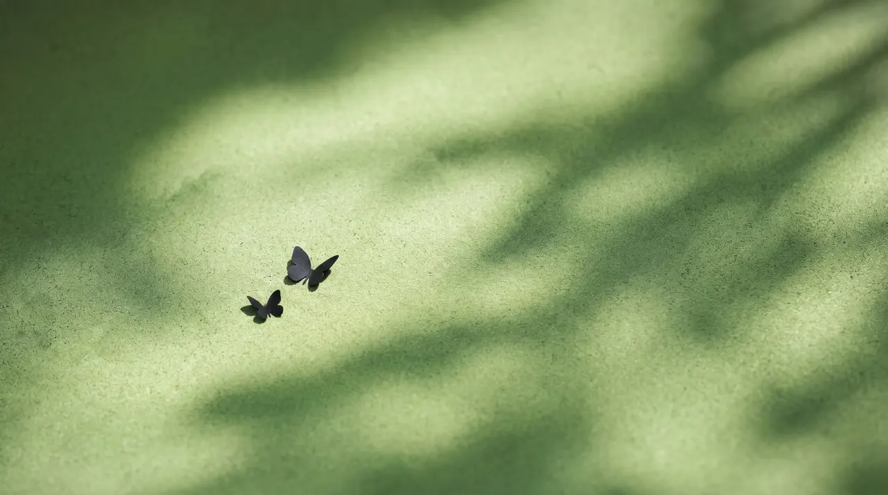 Butterflies in Shadow, Nature background