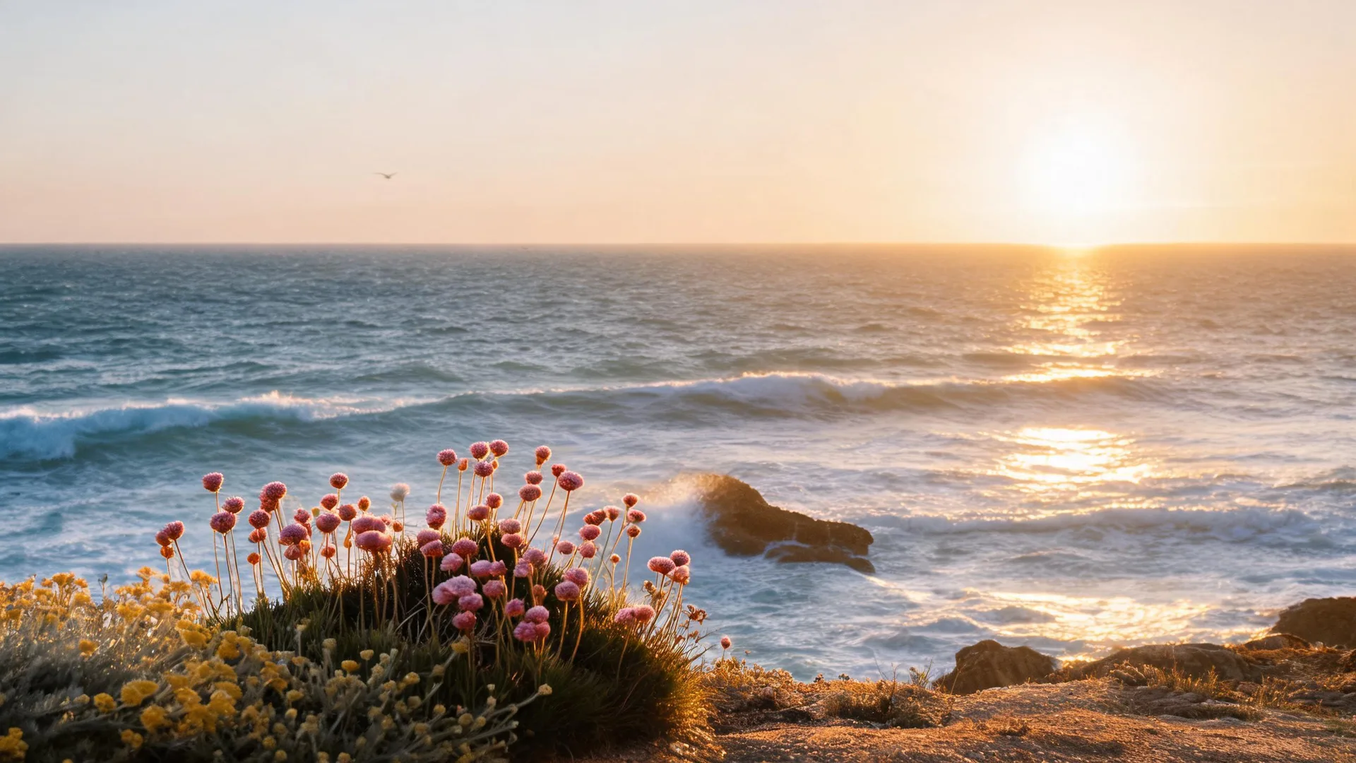 Coastal Thrift Flowers Amber, Gradients background