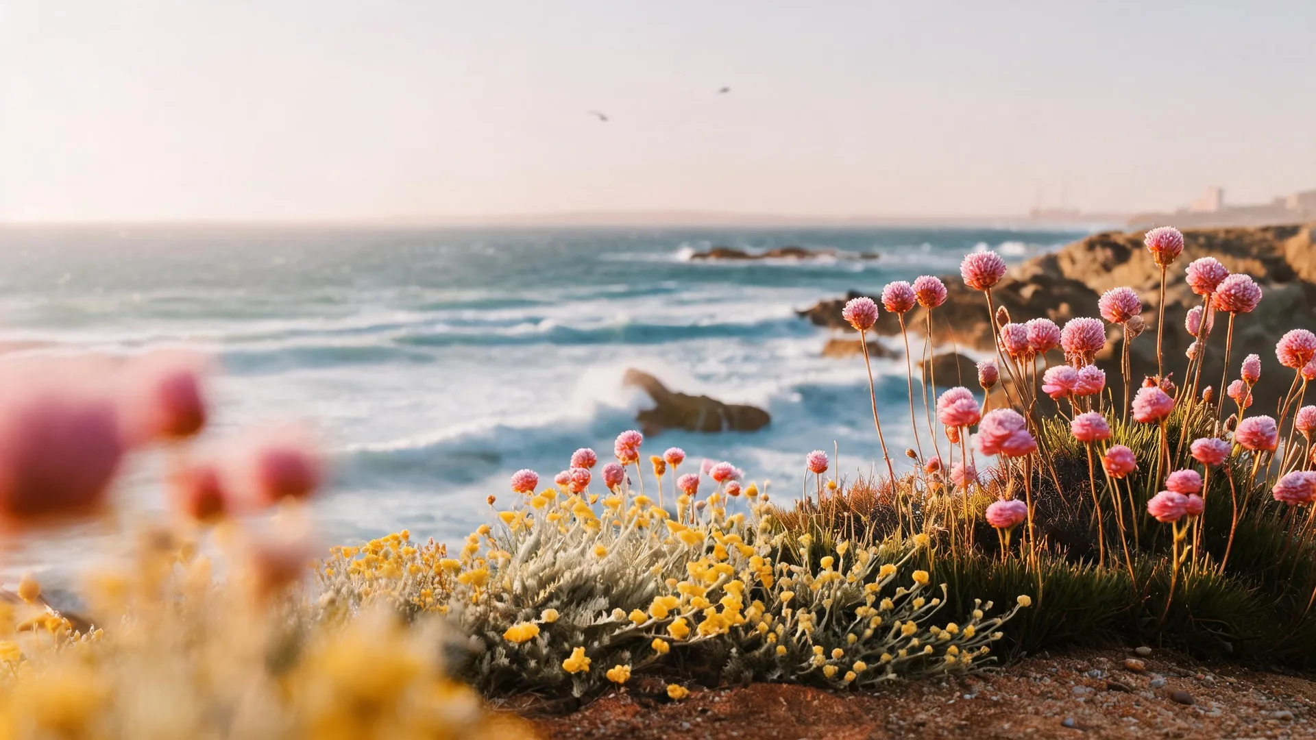 Coastal Thrift Flowers Ember, Gradients background