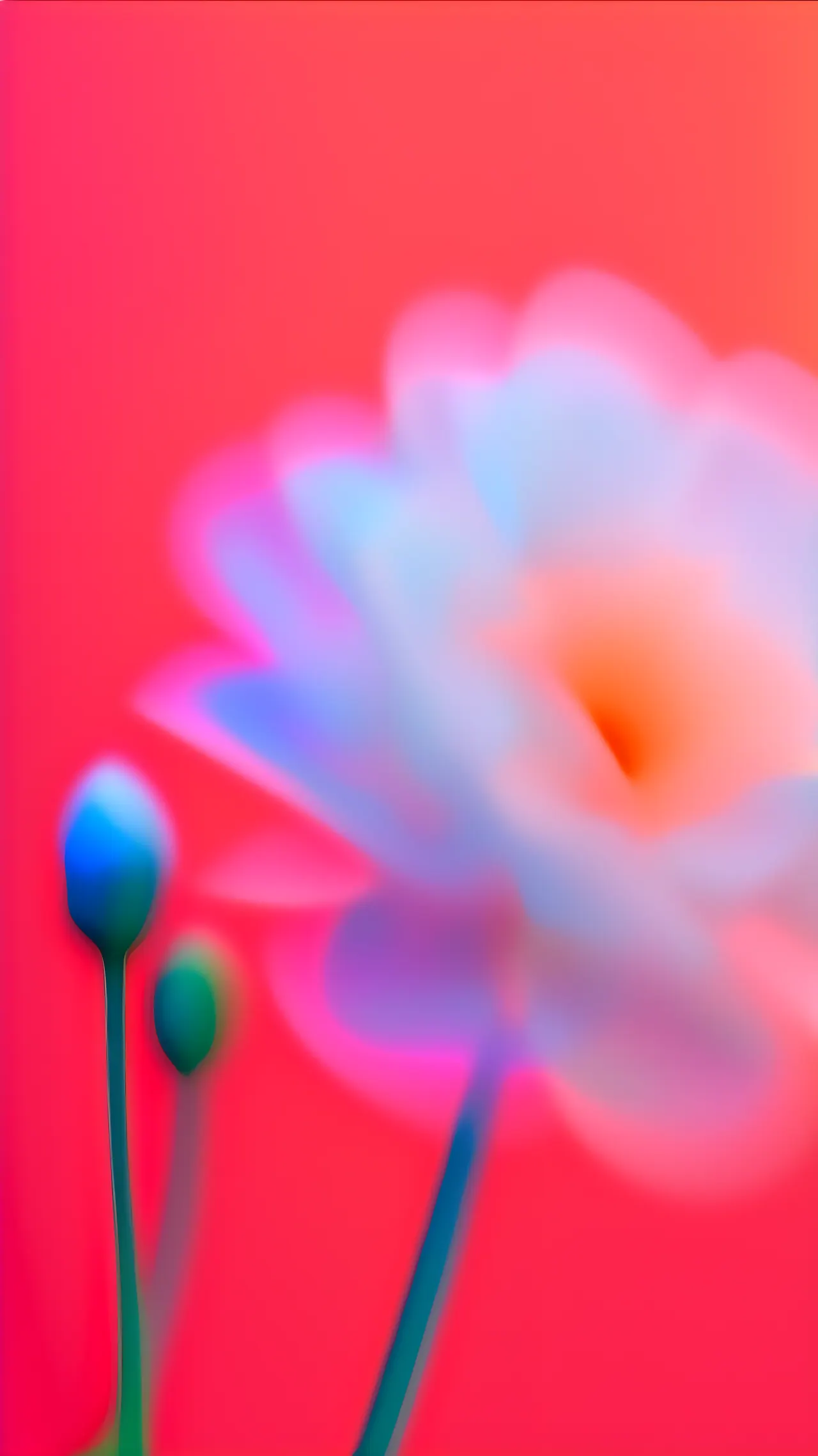 Coral Carnation, Nature background
