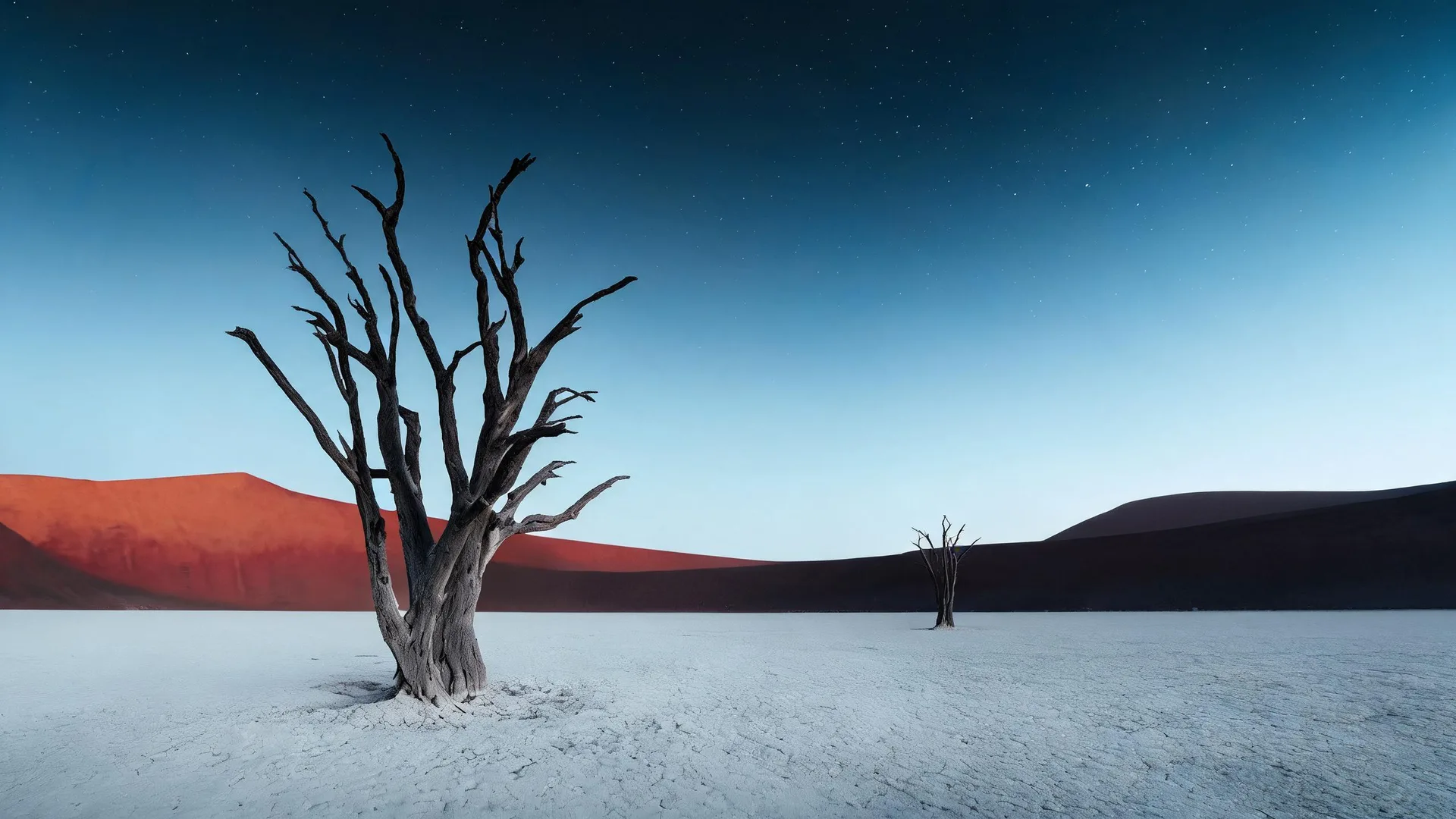 Deadvlei Dead Tree Azure, Gradients background