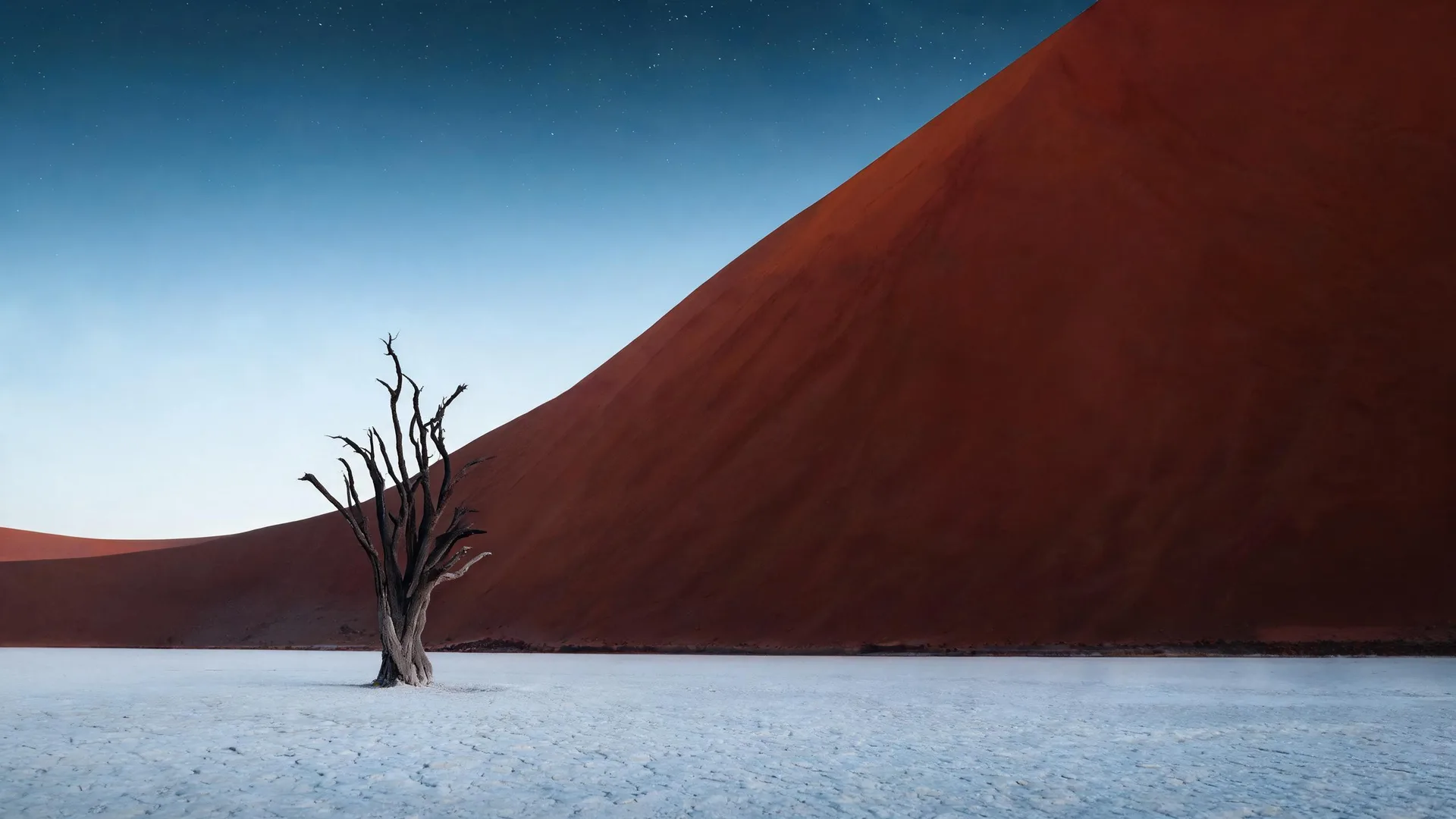 Deadvlei Dead Tree Ember, Gradients background
