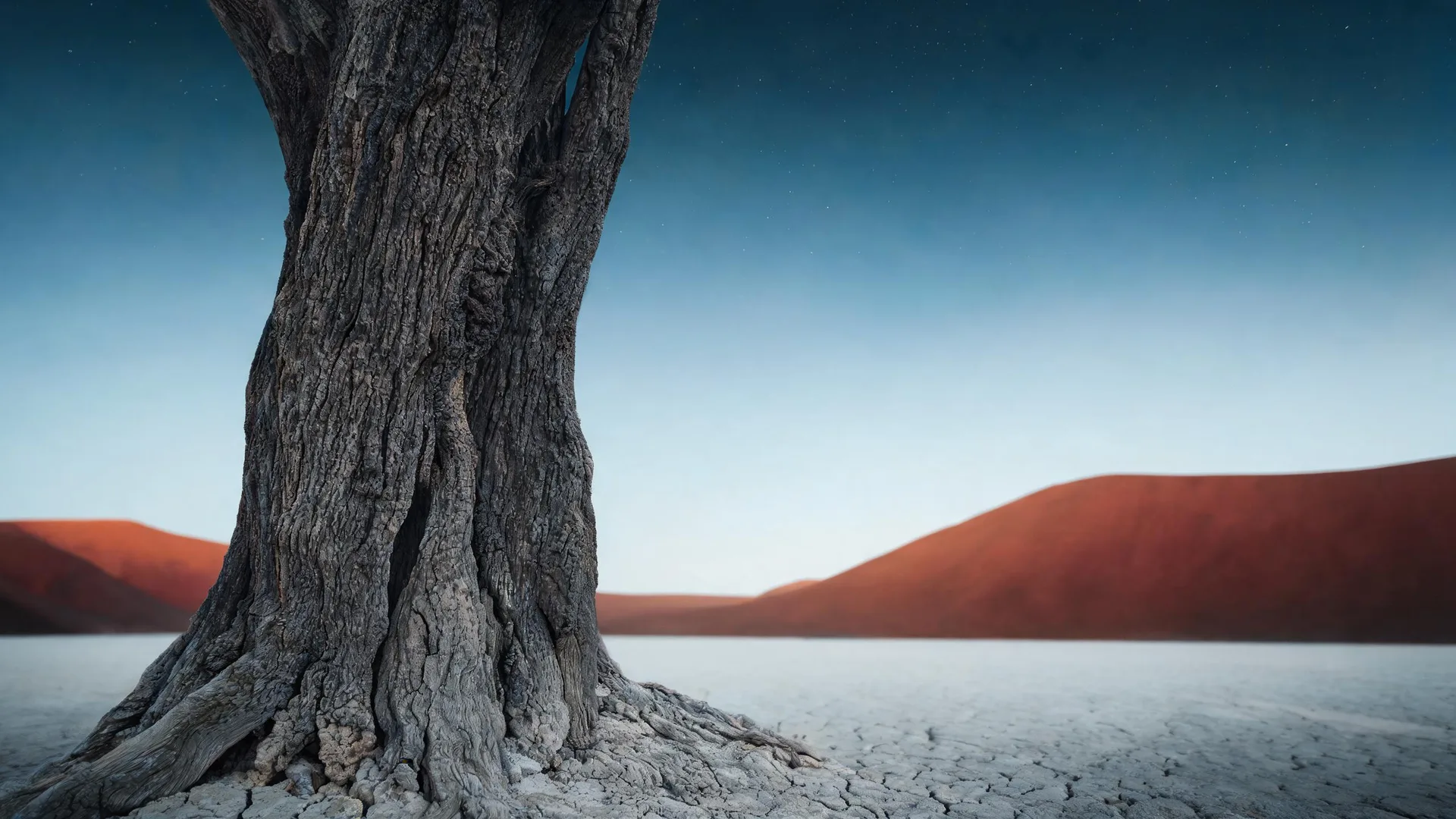 Deadvlei Dead Tree Graphite, Gradients background