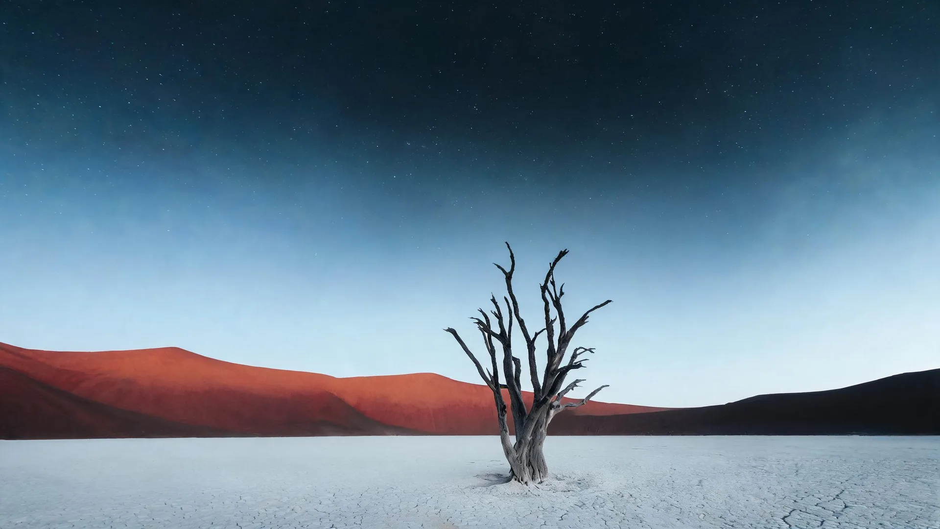 Deadvlei Dead Tree background