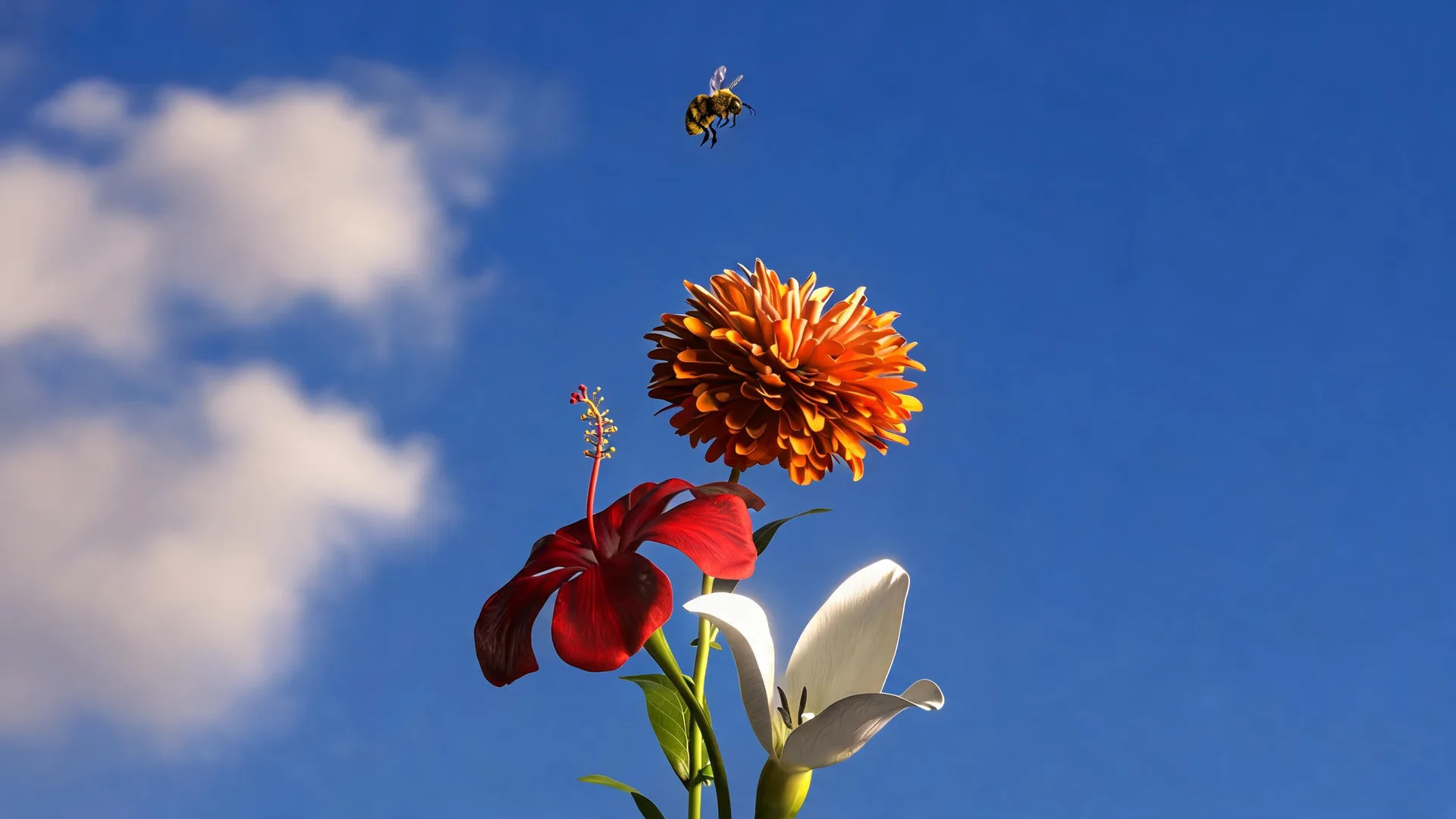 Flowers Bee Sky set cover
