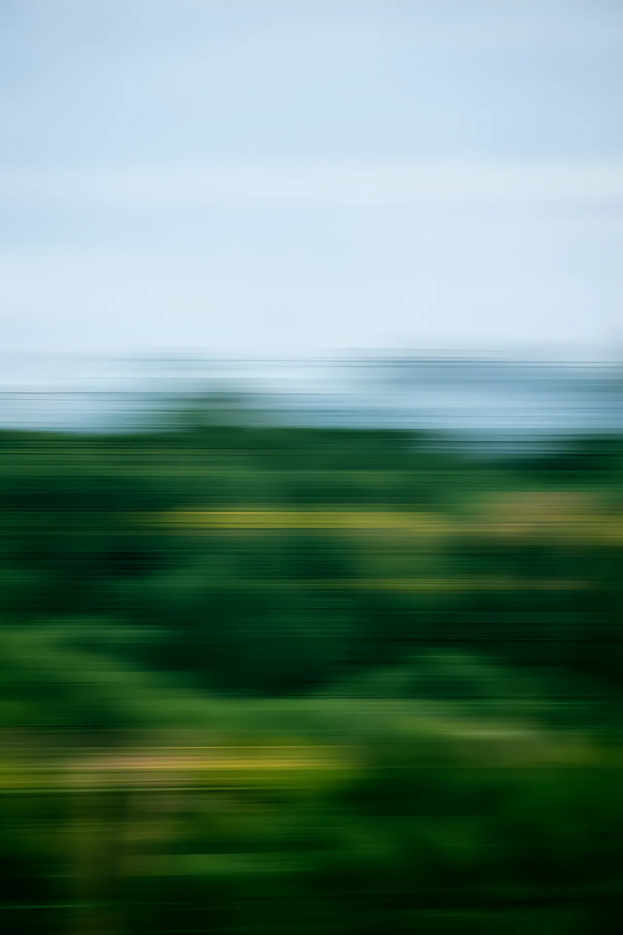 Forest Motion, Nature background