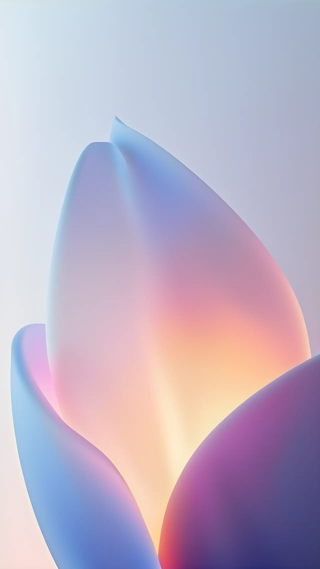 Frosted Petals, Glass background