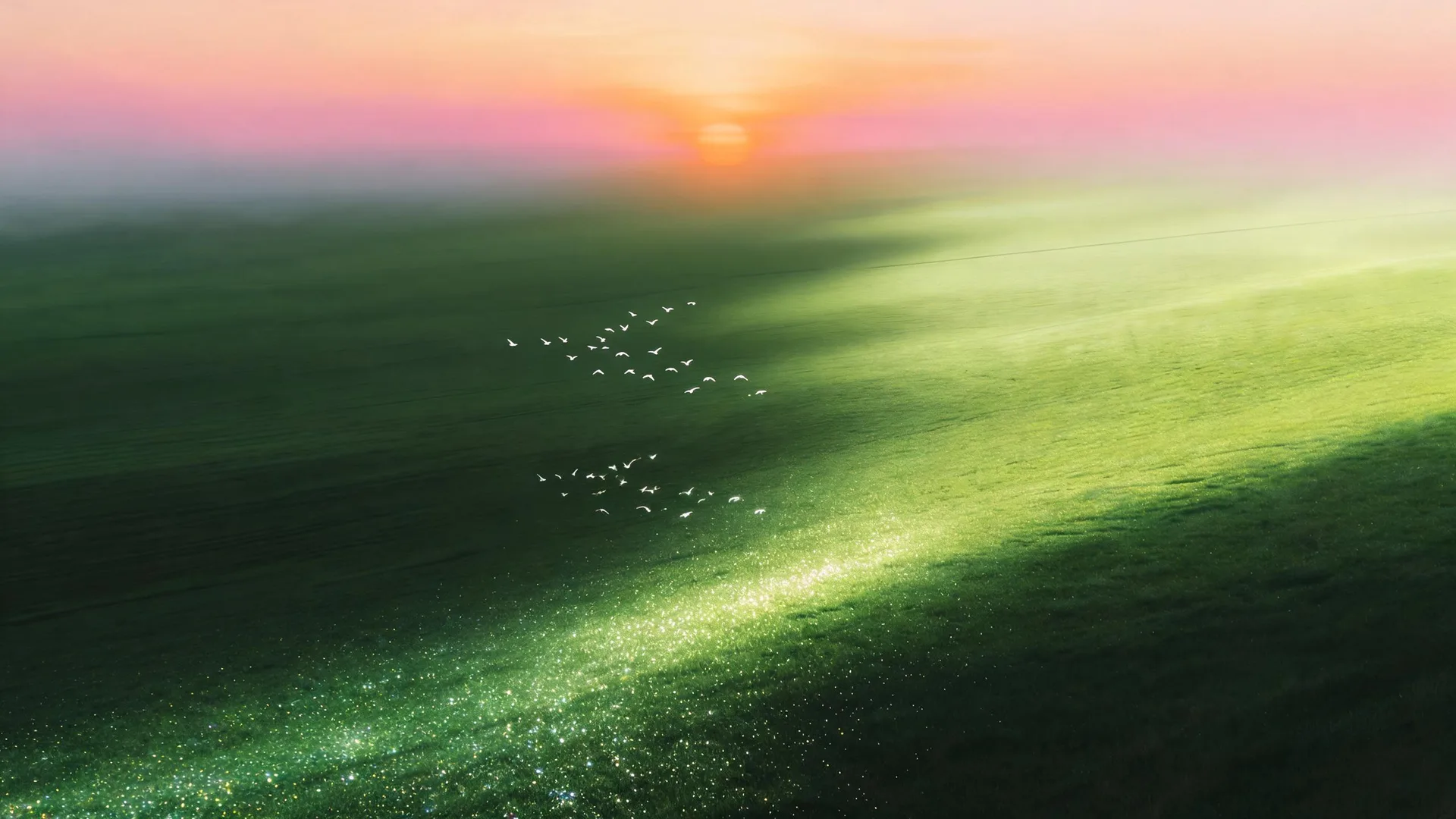 Glitter Meadow Dawn, Nature background