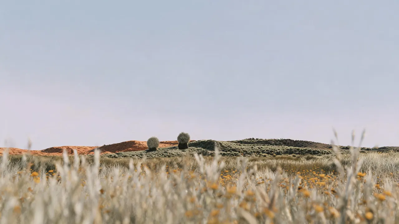 Meadow, Nature background
