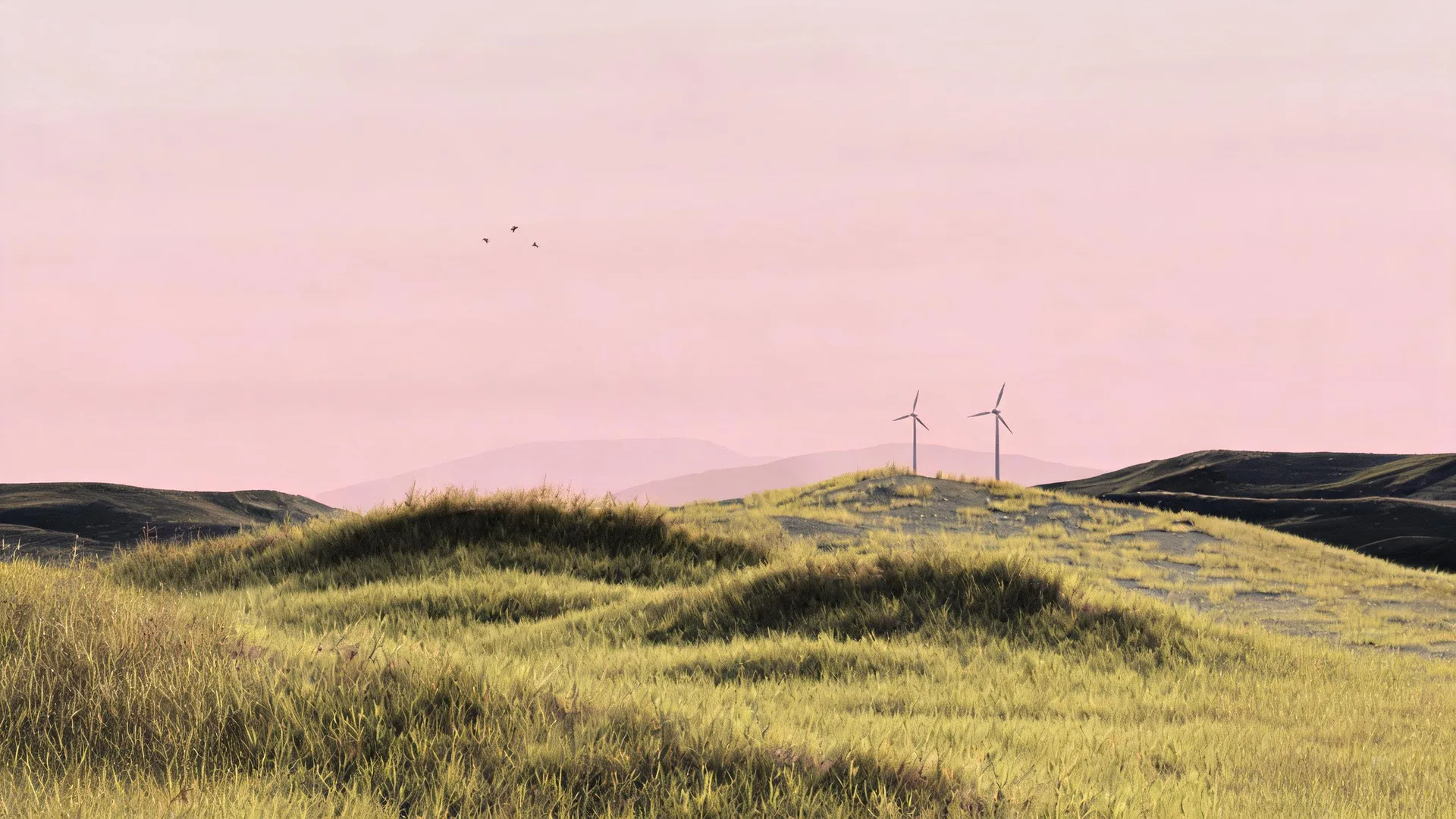 Pink Sky Grass background