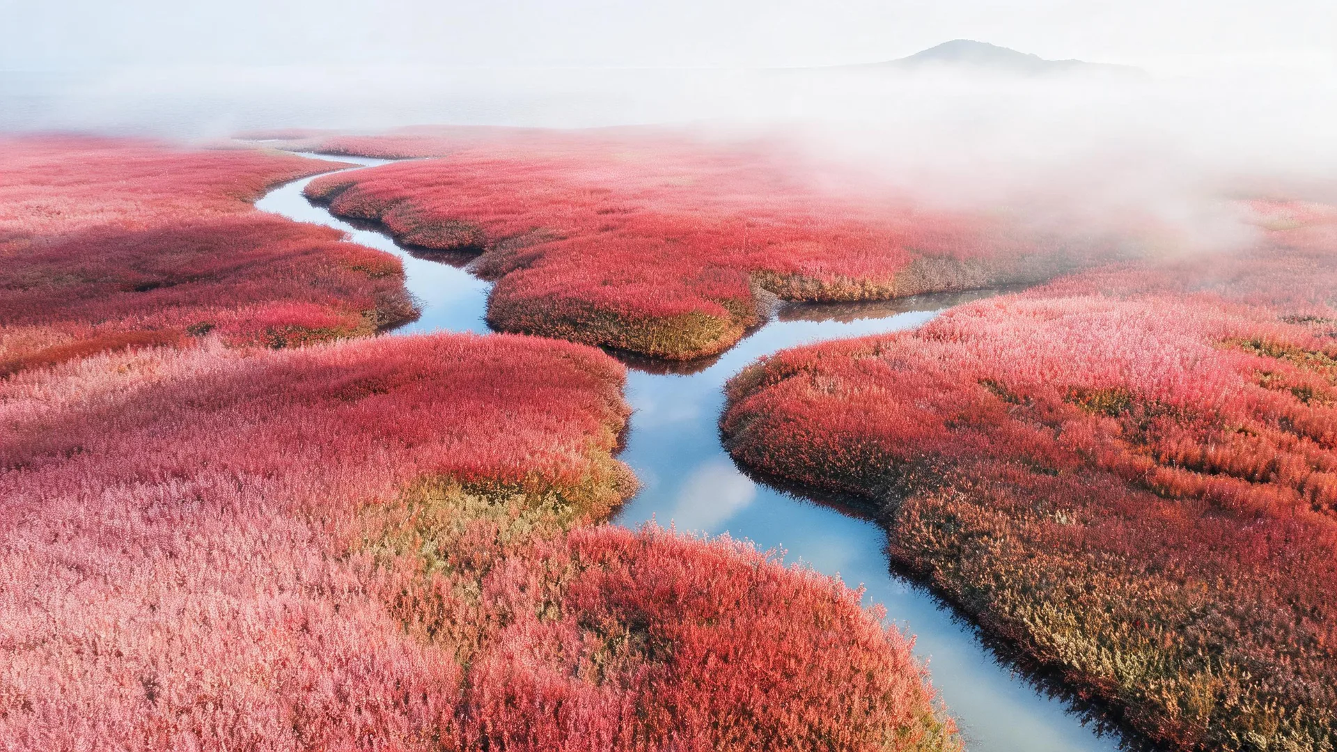Red Marsh Stream Ivory, Gradients background