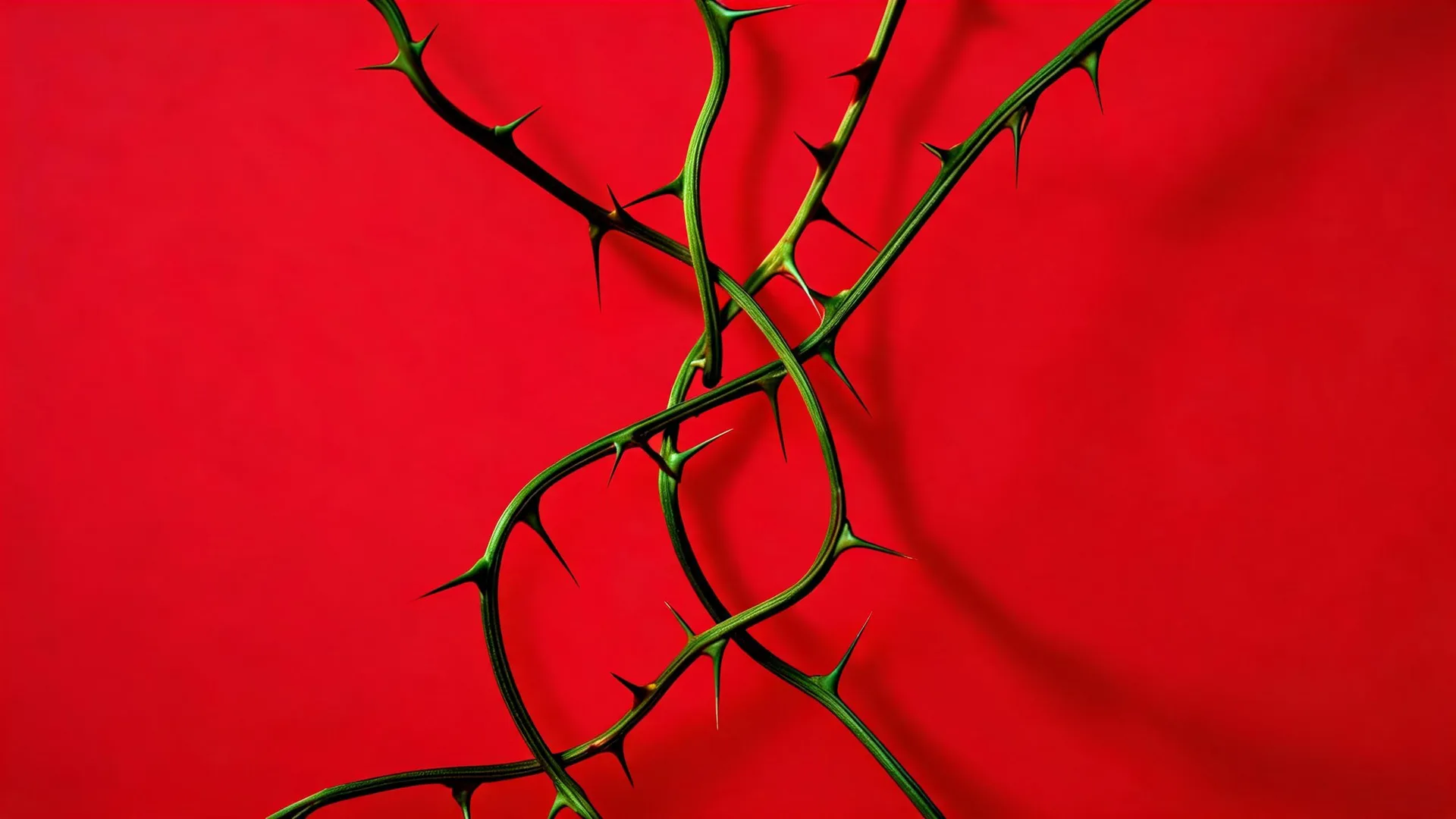 Thorny Stems Red, Neon background