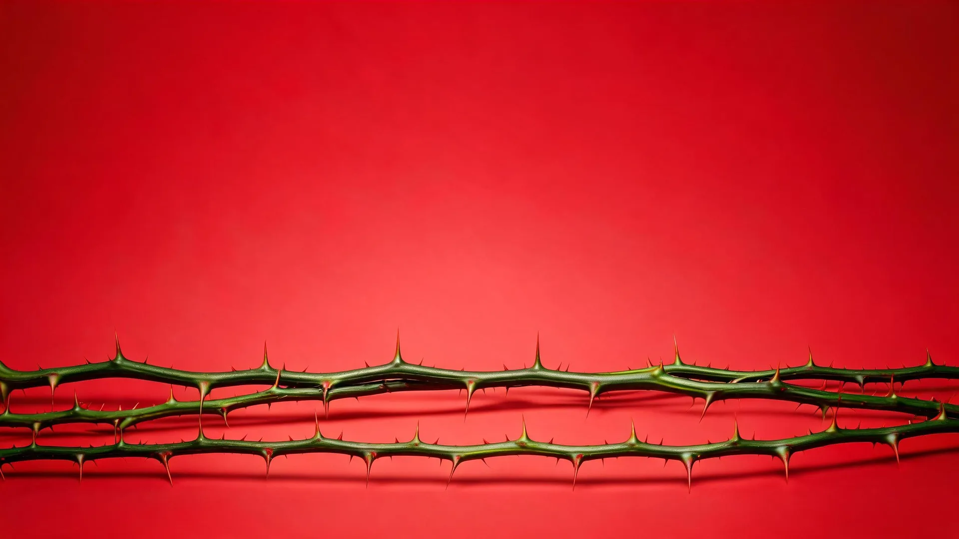 Thorny Stems Red Rose 3, Neon background
