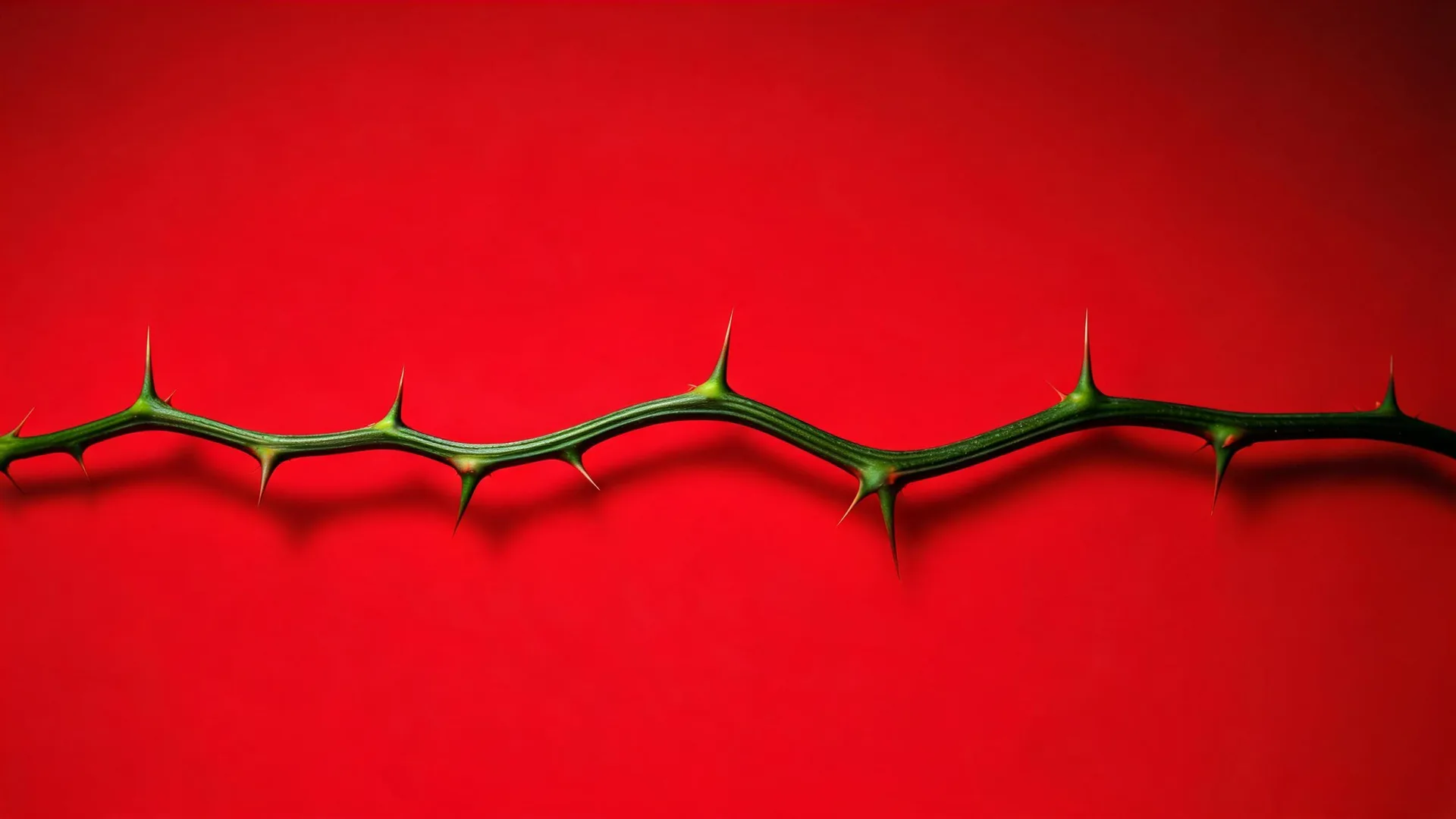 Thorny Stems Red Rose, Neon background