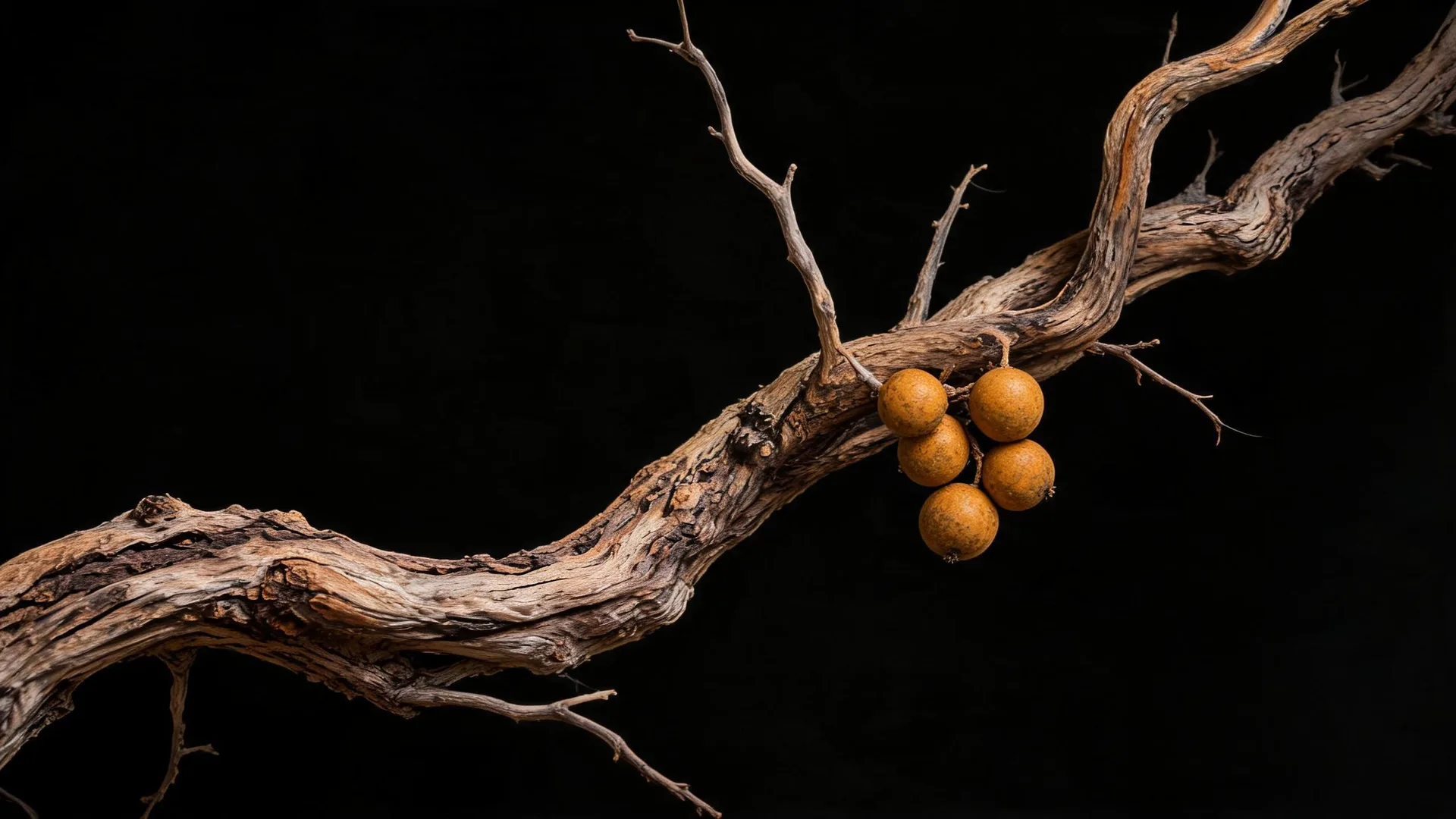 Twisted Branches Berries Gold, Neon background