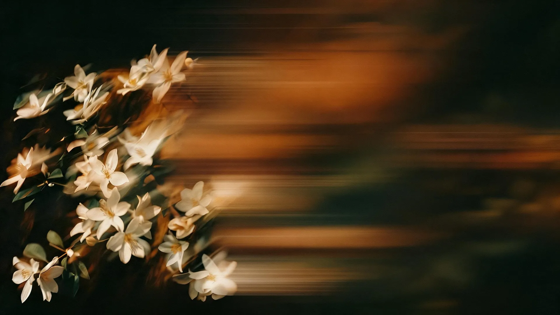 White Flowers Motion Emerald, Gradients background