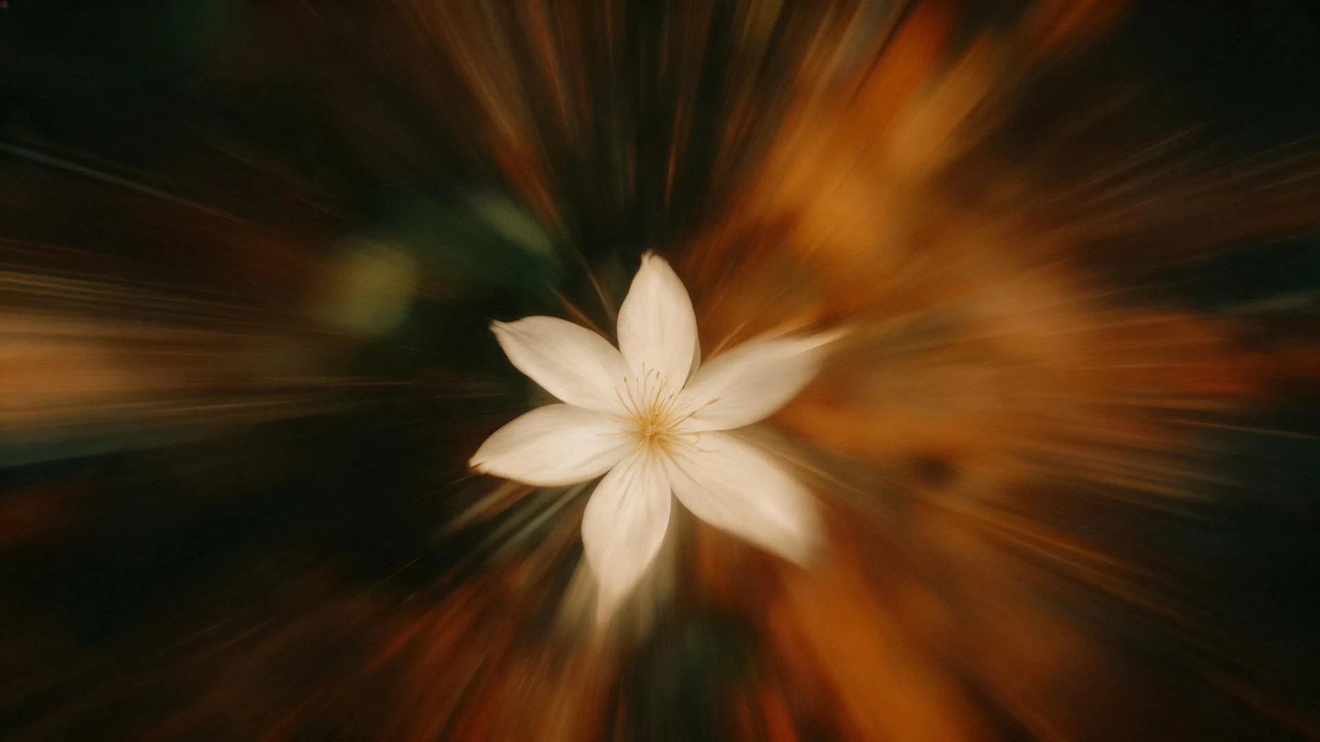 White Flowers Motion Gold 2, Gradients background