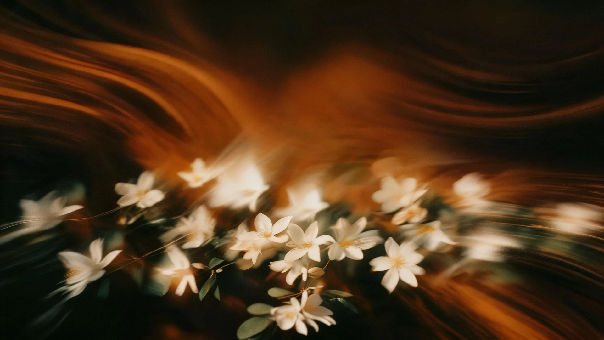 White Flowers Motion Gold 3, Gradients background