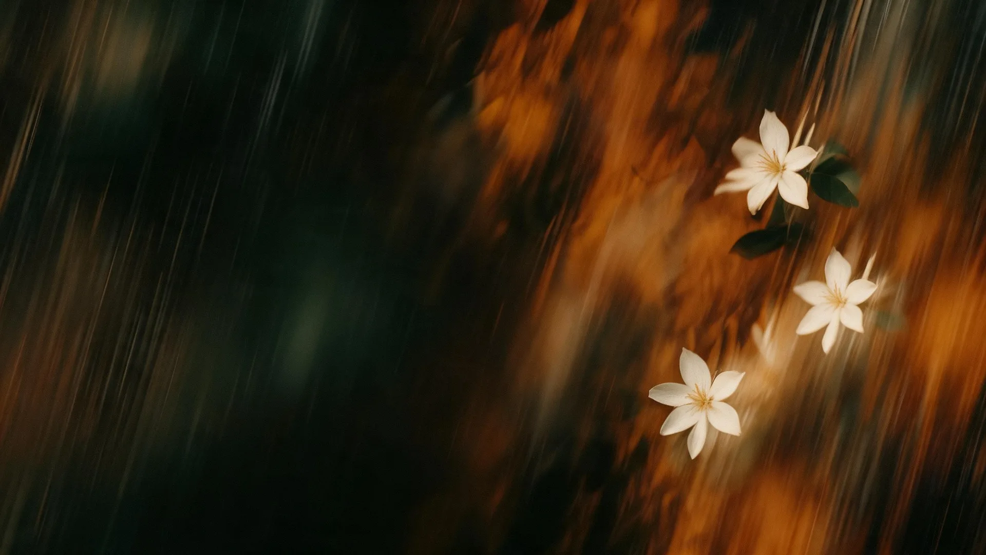 White Flowers Motion Gold, Gradients background