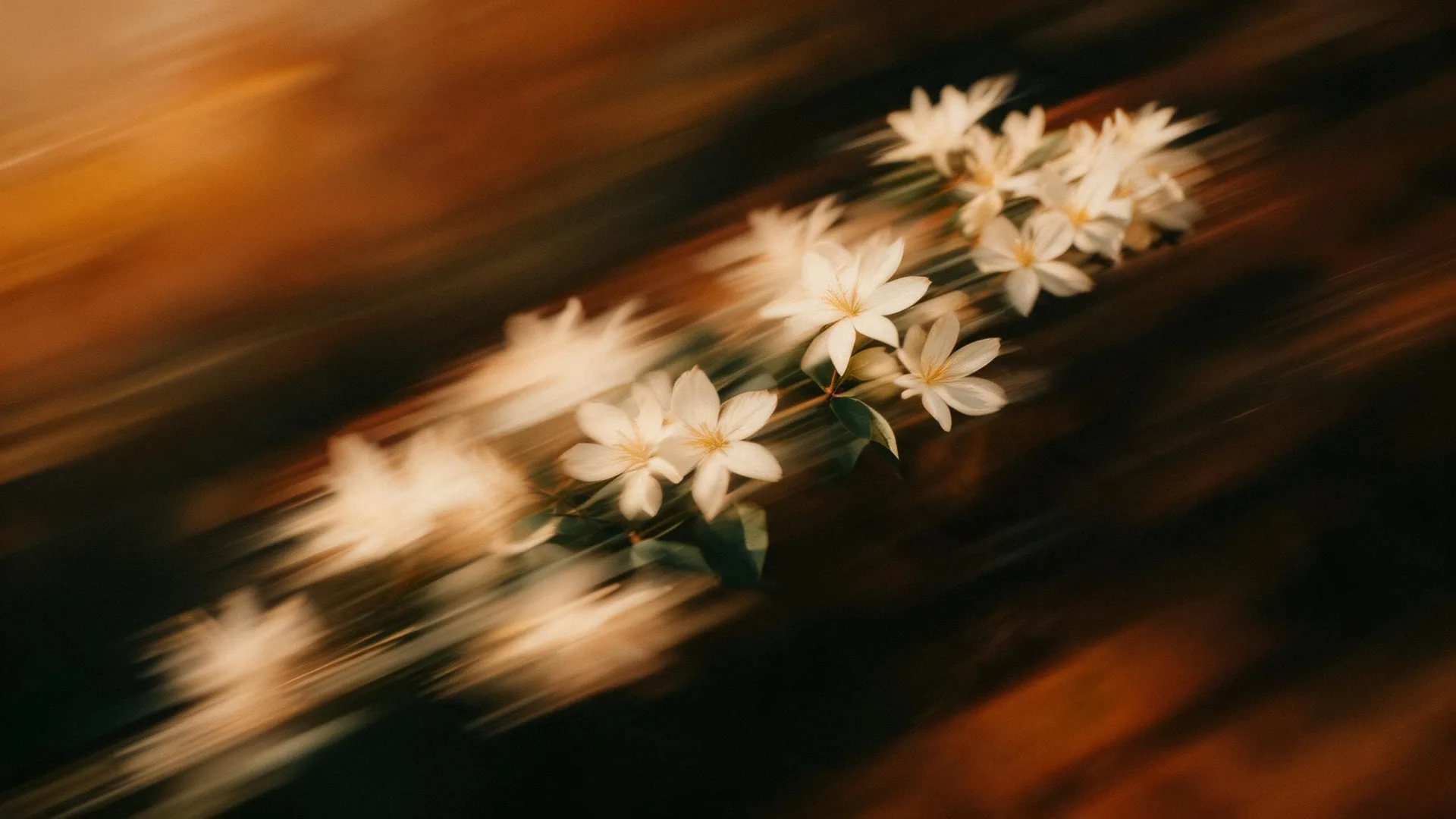 White Flowers Motion background