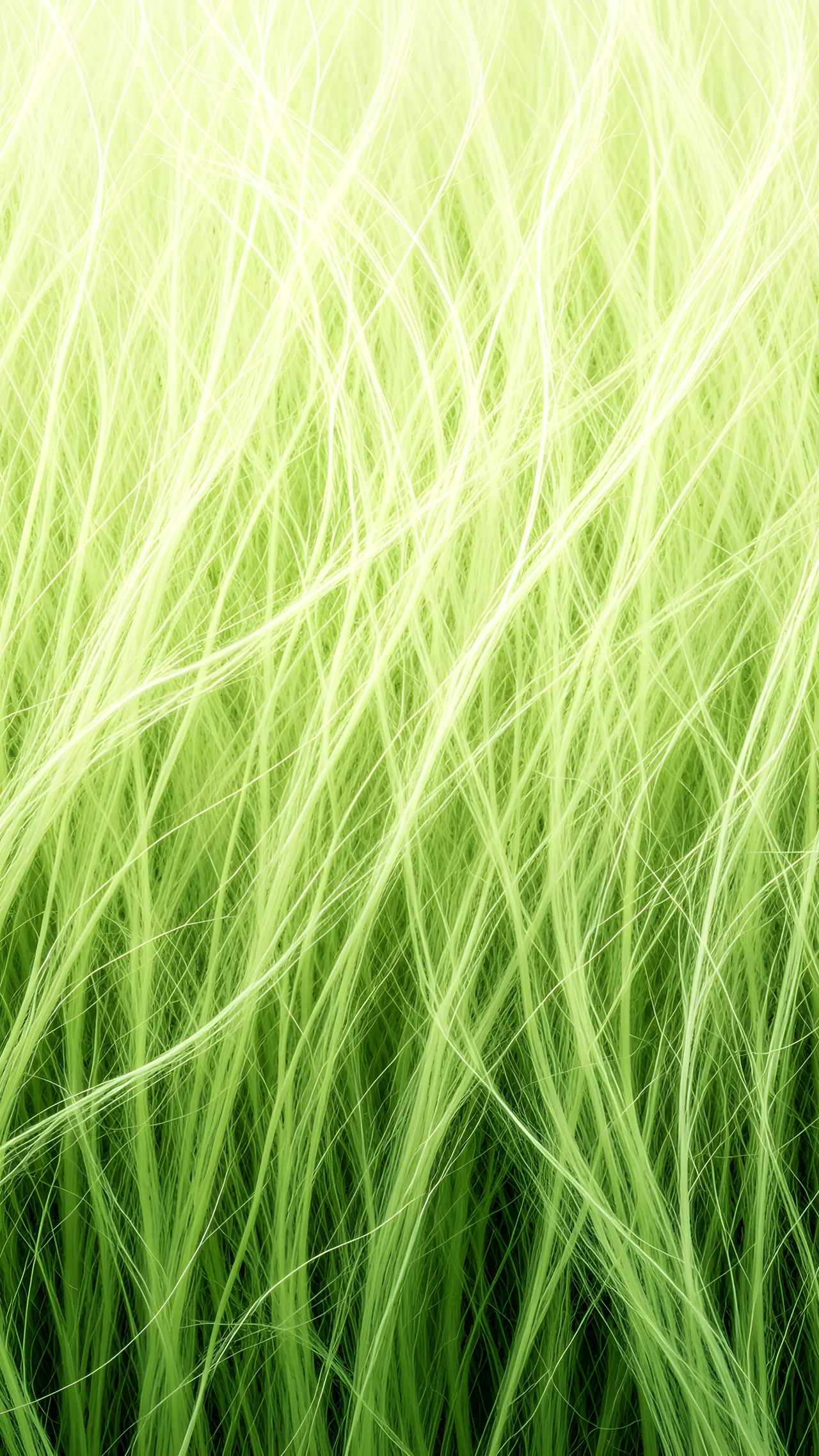 Wind Grass, Nature background